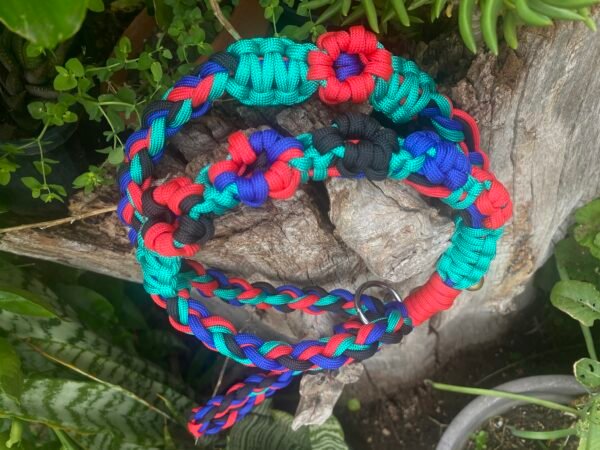 IMG_9383 🌈Durable Braided Paracord Dog Leash | Multi-Color (Red, Blue, Teal) Strong Pet Collar