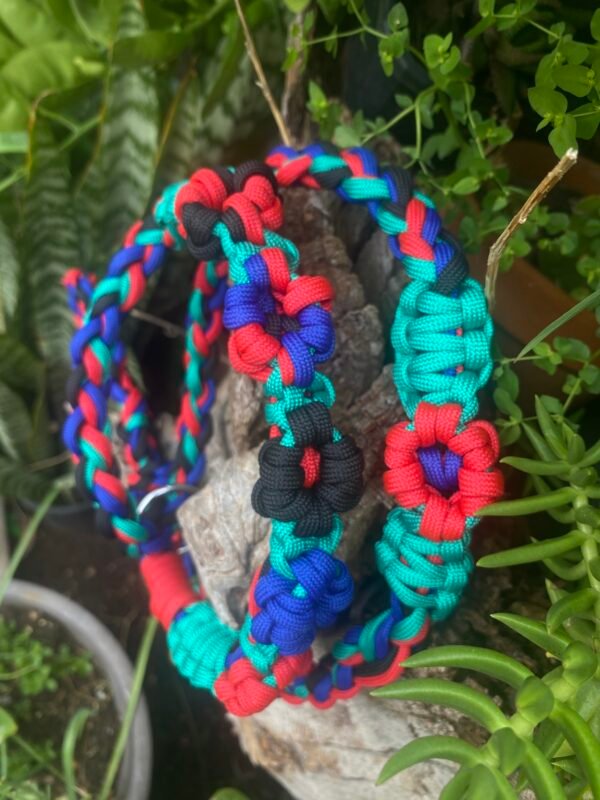 IMG_9384 🌈Durable Braided Paracord Dog Leash | Multi-Color (Red, Blue, Teal) Strong Pet Collar