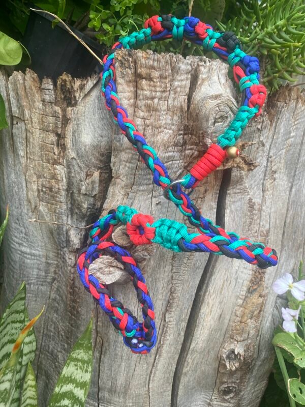 IMG_9389 🌈Durable Braided Paracord Dog Leash | Multi-Color (Red, Blue, Teal) Strong Pet Collar