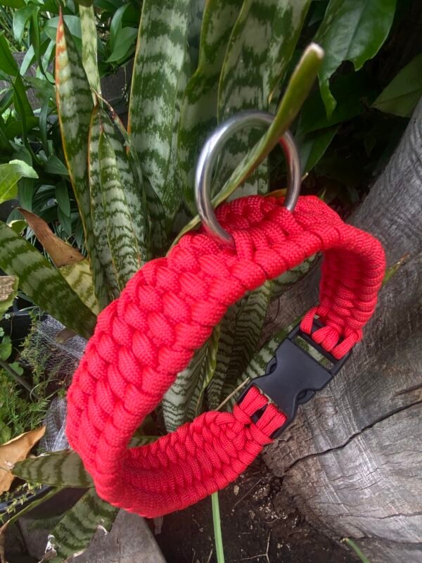 IMG_9407 Wide Red/Black/Green/Blue Braided Paracord Dog Collar | Heavy-Duty Quick-Release Buckle & Metal D-Ring