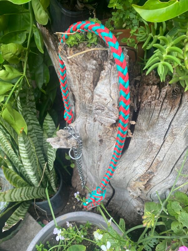 IMG_9410 ✨Heavy-Duty Braided Paracord & Chain Dog Training Collar/Slip Leash | Red & Green