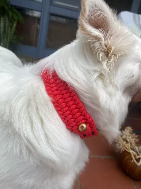 Image_20251028122920_286_2 Wide Red/Black/Green/Blue Braided Paracord Dog Collar | Heavy-Duty Quick-Release Buckle & Metal D-Ring